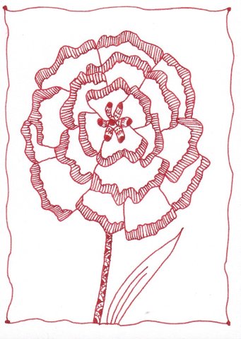 Incomplete Carnation
