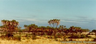 View from the "hut's" porch