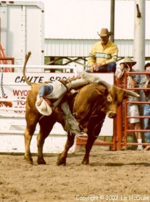 ...casually wait for him to fall off. (3 of 3)