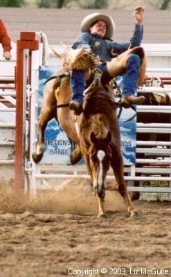 I thought the brochure said 'trail rides'!