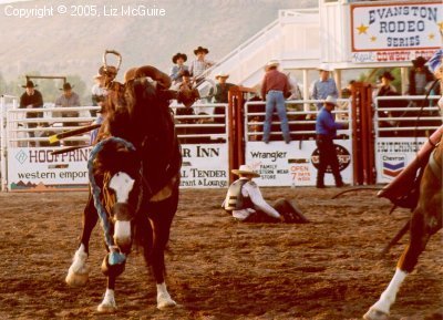 The real story of rodeo