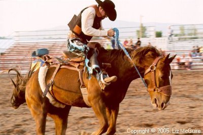 Saddle Bronc, up close