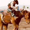 Saddle Bronc, up close