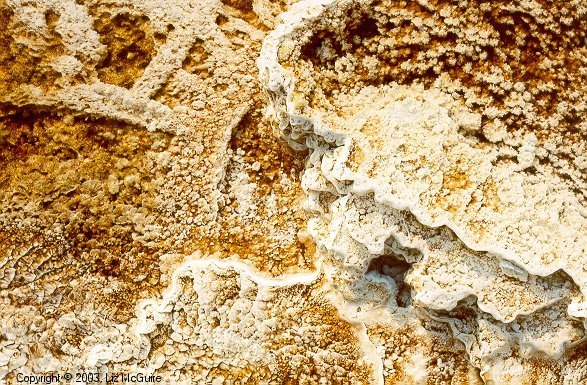 Hot Springs in Yellowstone National Park